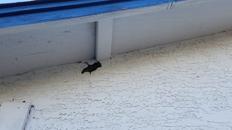 Synthetic Stucco Repair in Sacramento, CA